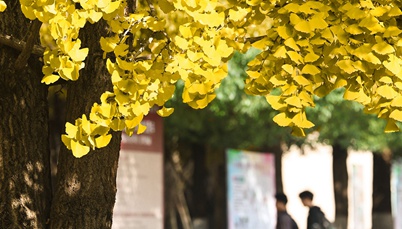 国奖8项！我校师生在第16届全国大学生广告艺术大赛中再创佳绩！
